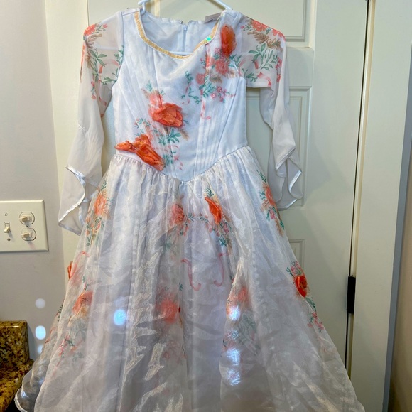 Disney Other - Gorgeous Disney Princess Costume